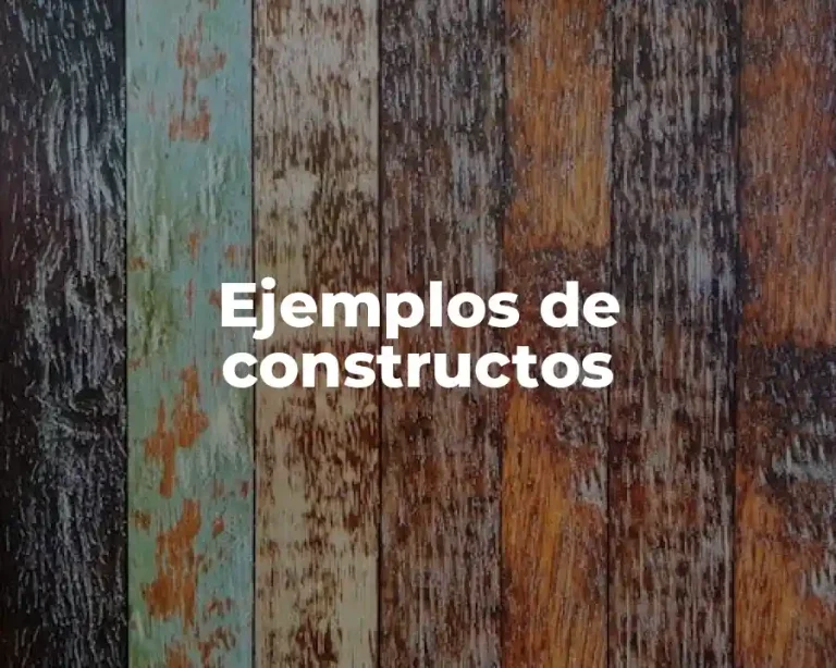 Ejemplos de constructos