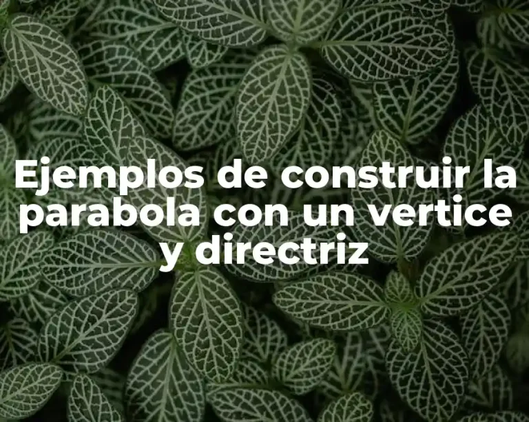Ejemplos de construir la parabola con un vertice y directriz