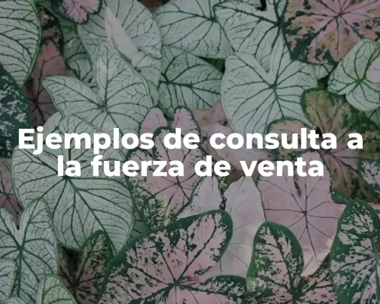 Ejemplos de consulta a la fuerza de venta