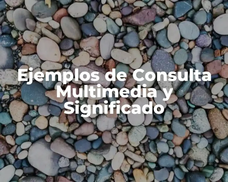 Ejemplos de Consulta Multimedia y Significado