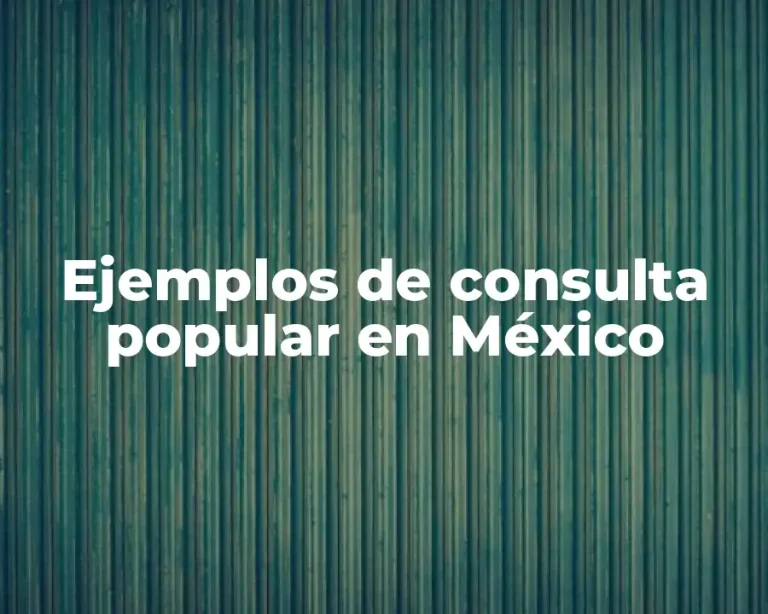 Ejemplos de consulta popular en México