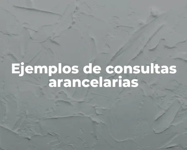 Ejemplos de consultas arancelarias