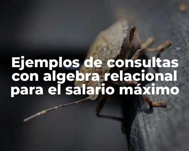 Ejemplos de consultas con algebra relacional para el salario máximo