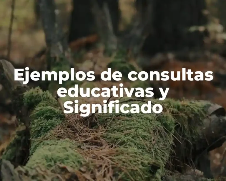 Ejemplos de consultas educativas y Significado