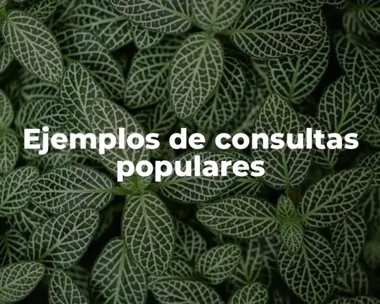 Ejemplos de consultas populares