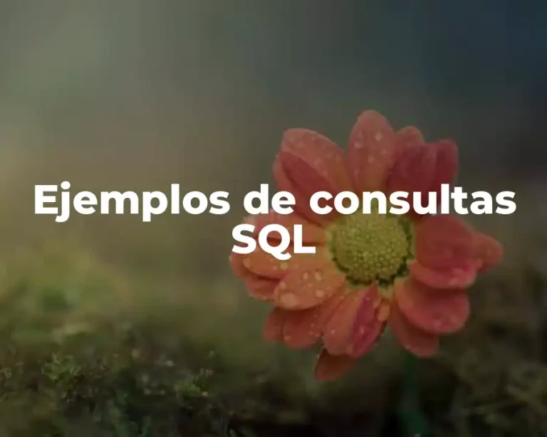 Ejemplos de consultas SQL