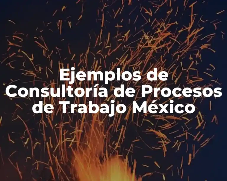 Ejemplos de Consultoría de Procesos de Trabajo México