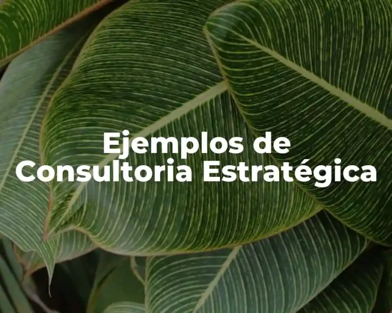 Ejemplos de Consultoria Estratégica