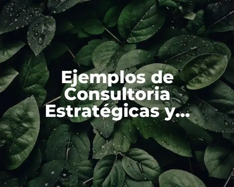 Ejemplos de Consultoria Estratégicas y Significado