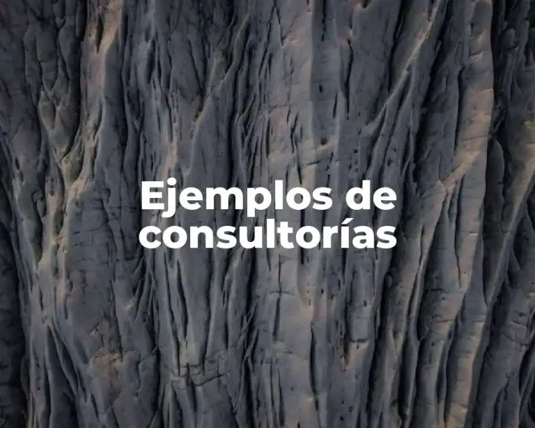 Ejemplos de consultorías