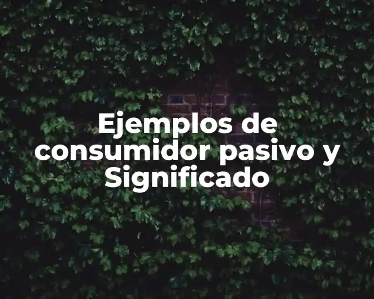 Ejemplos de consumidor pasivo y Significado