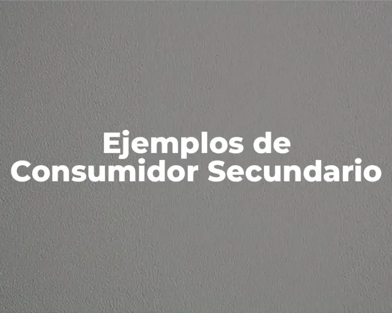 Ejemplos de Consumidor Secundario
