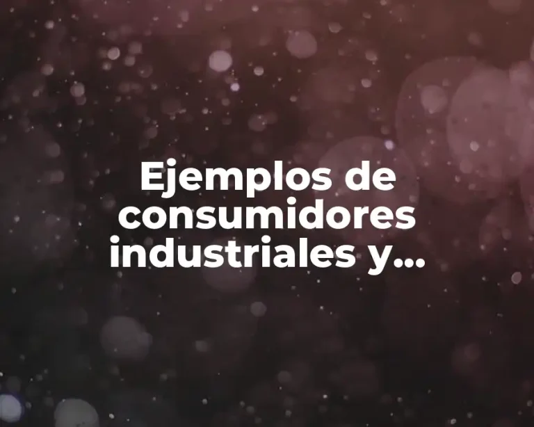 Ejemplos de consumidores industriales y Significado