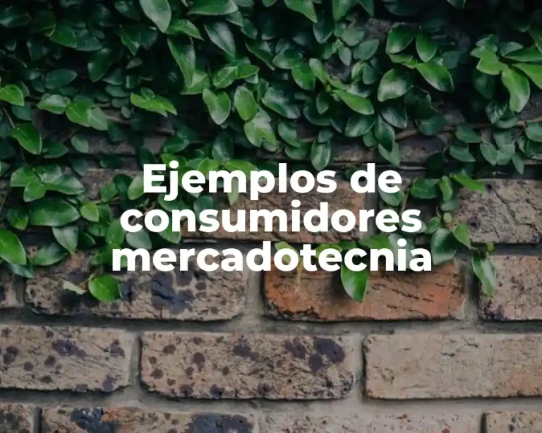 Ejemplos de consumidores mercadotecnia