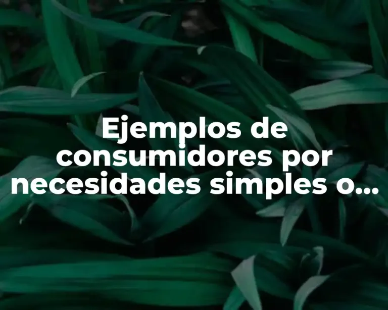 Ejemplos de consumidores por necesidades simples o biológicas