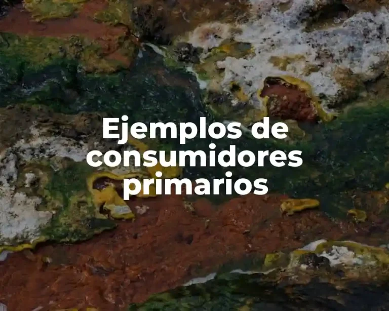 Ejemplos de consumidores primarios