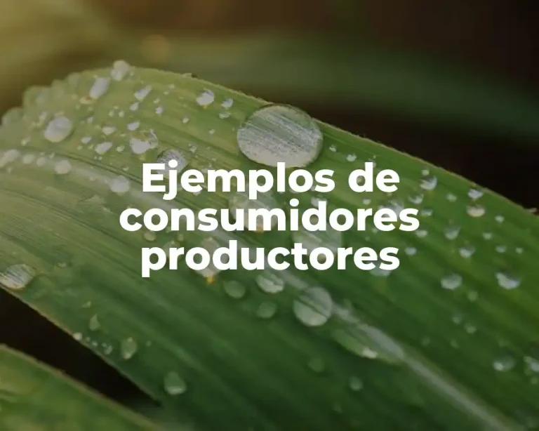 Ejemplos de consumidores productores