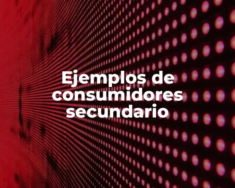 Ejemplos de consumidores secundario