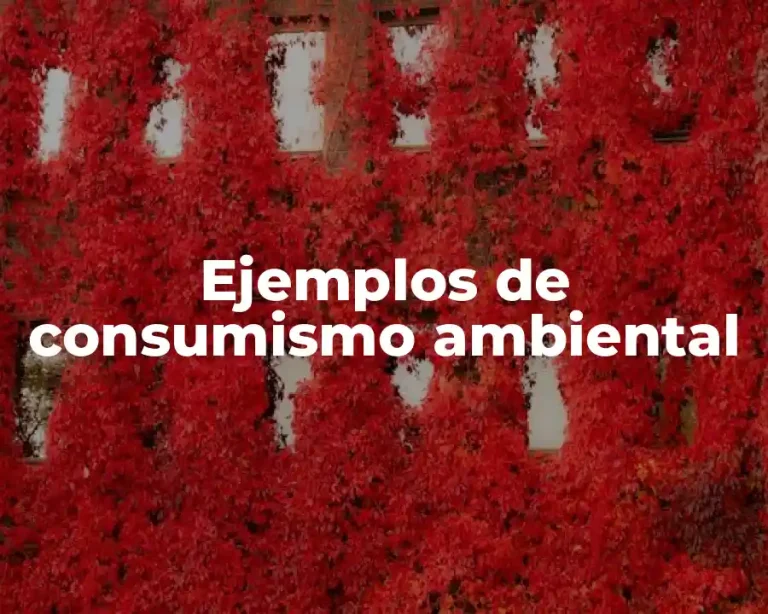 Ejemplos de consumismo ambiental