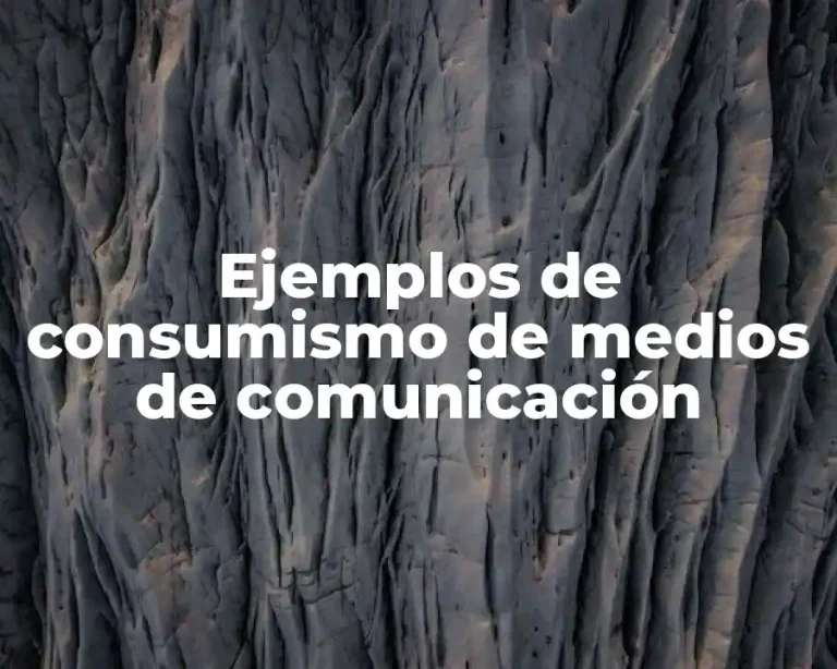 Ejemplos de consumismo de medios de comunicación