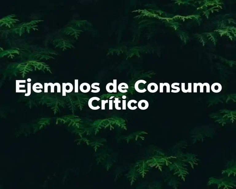 Ejemplos de Consumo Crítico