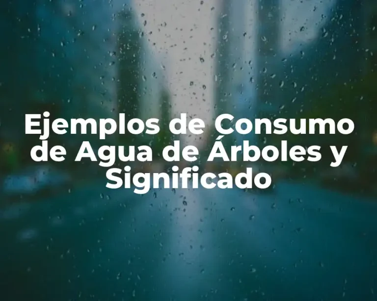 Ejemplos de Consumo de Agua de Árboles y Significado