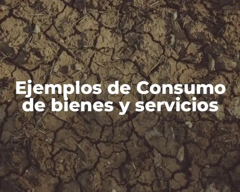 Ejemplos de Consumo de bienes y servicios