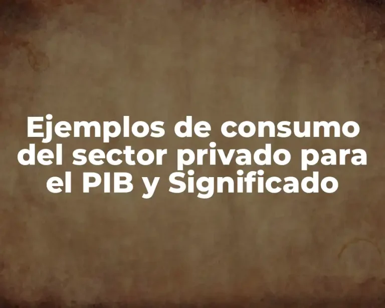 Ejemplos de consumo del sector privado para el PIB y Significado