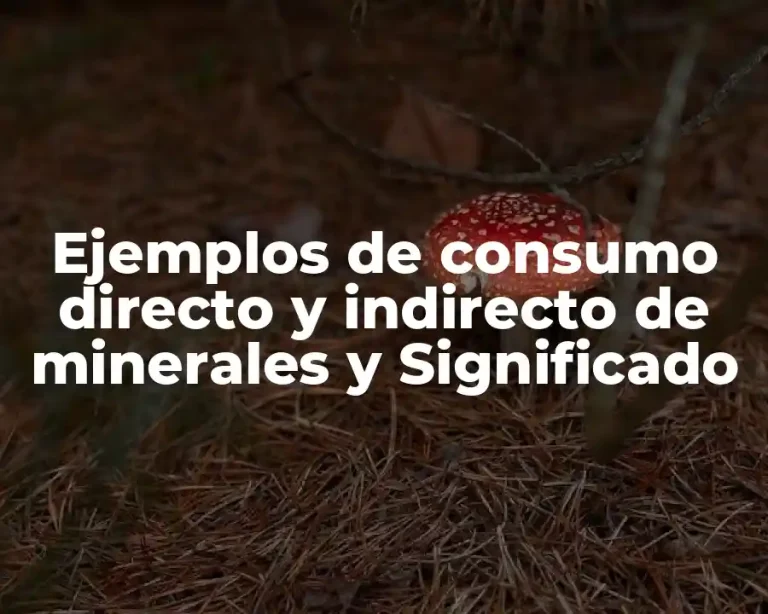 Ejemplos de consumo directo y indirecto de minerales y Significado