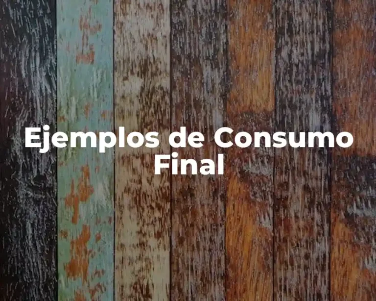 Ejemplos de Consumo Final
