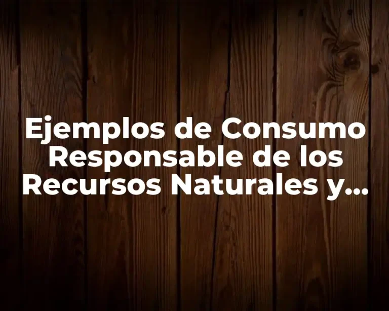 Ejemplos de Consumo Responsable de los Recursos Naturales y Significado