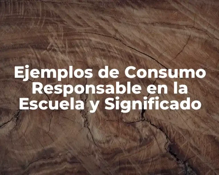 Ejemplos de Consumo Responsable en la Escuela y Significado