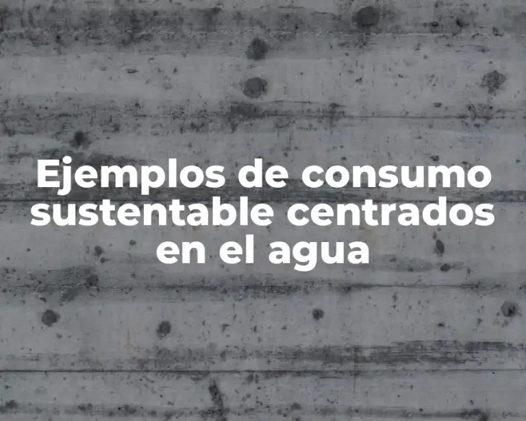 Ejemplos de consumo sustentable centrados en el agua