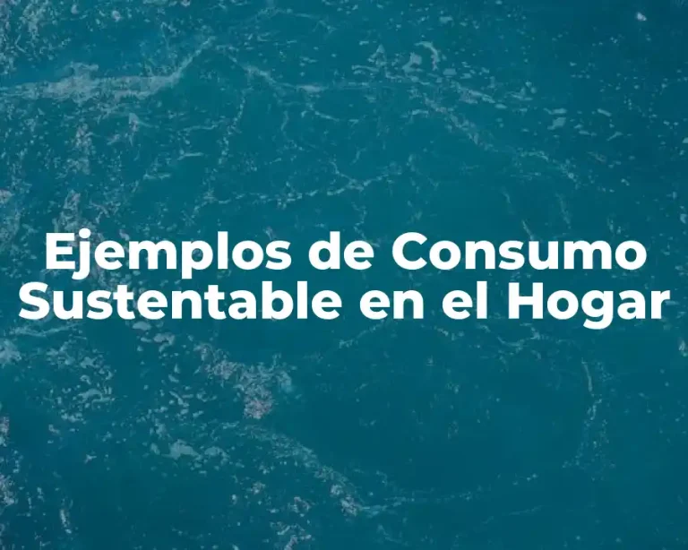 Ejemplos de Consumo Sustentable en el Hogar