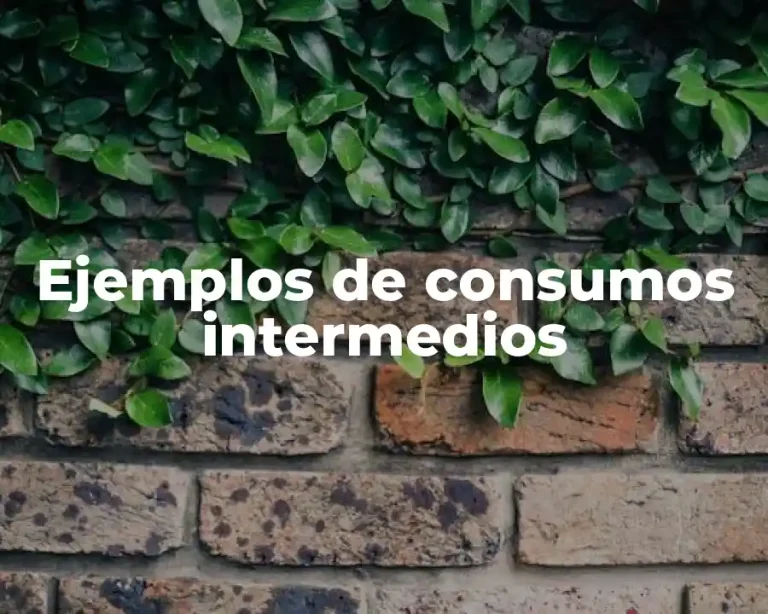Ejemplos de consumos intermedios