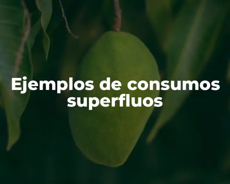 Ejemplos de consumos superfluos