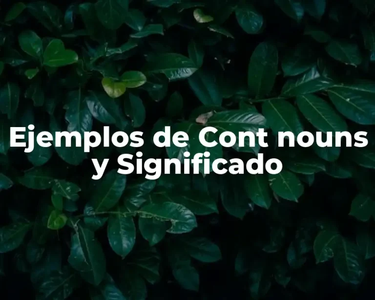 Ejemplos de Cont nouns y Significado