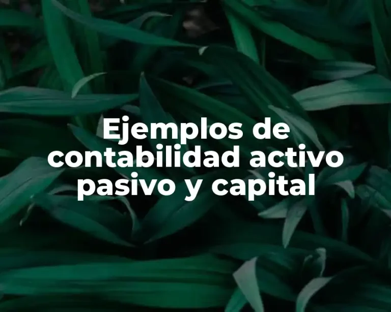 Ejemplos de contabilidad activo pasivo y capital