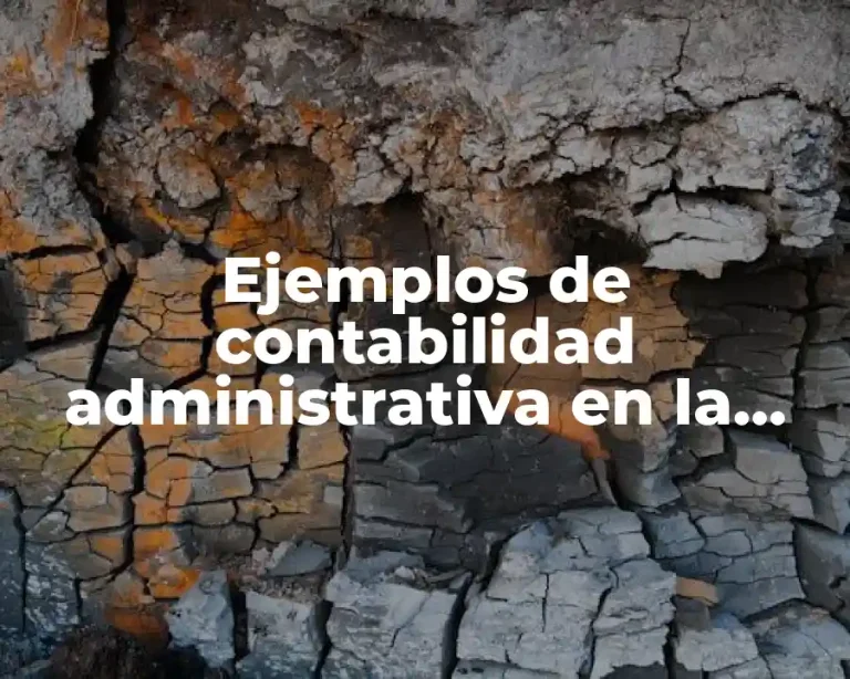 Ejemplos de contabilidad administrativa en la planeación y control y Significado