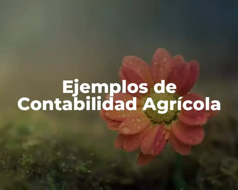 Ejemplos de Contabilidad Agrícola