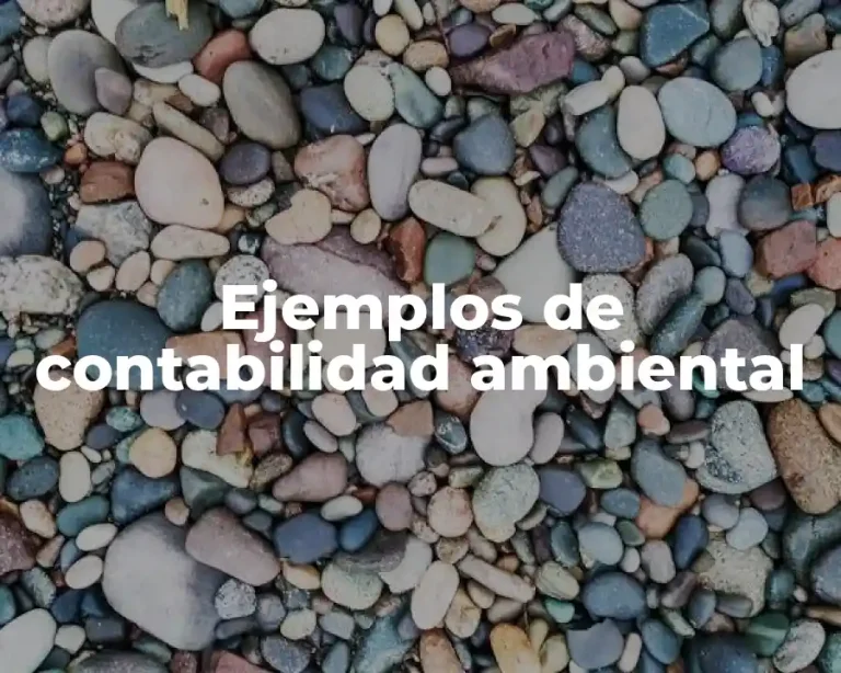 Ejemplos de contabilidad ambiental