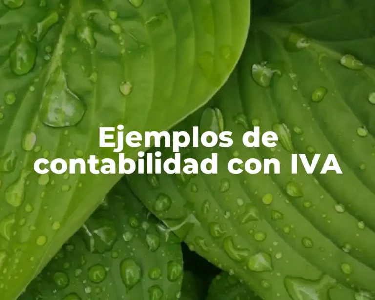 Ejemplos de contabilidad con IVA