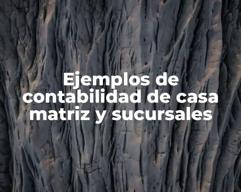 Ejemplos de contabilidad de casa matriz y sucursales