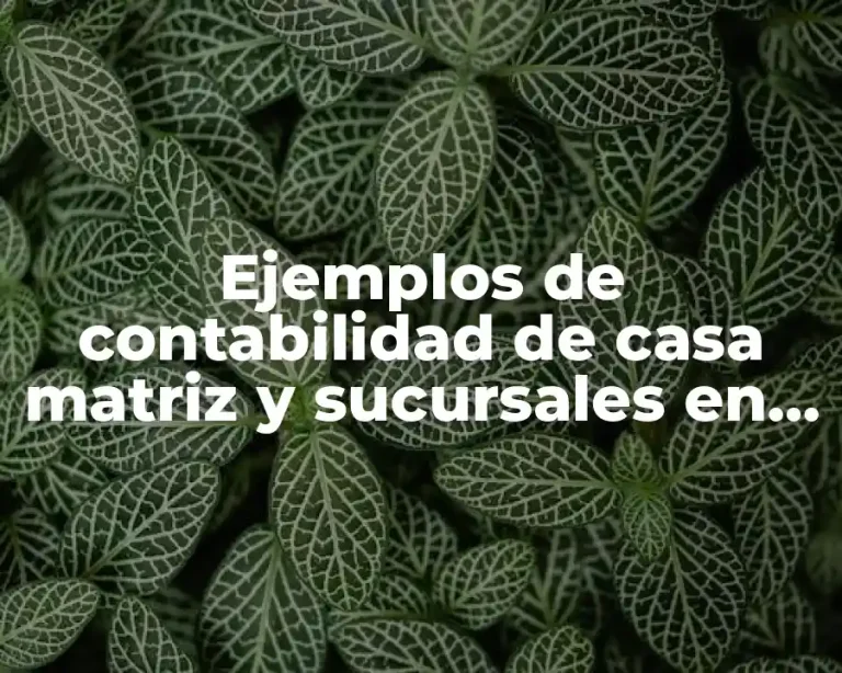 Ejemplos de contabilidad de casa matriz y sucursales en México