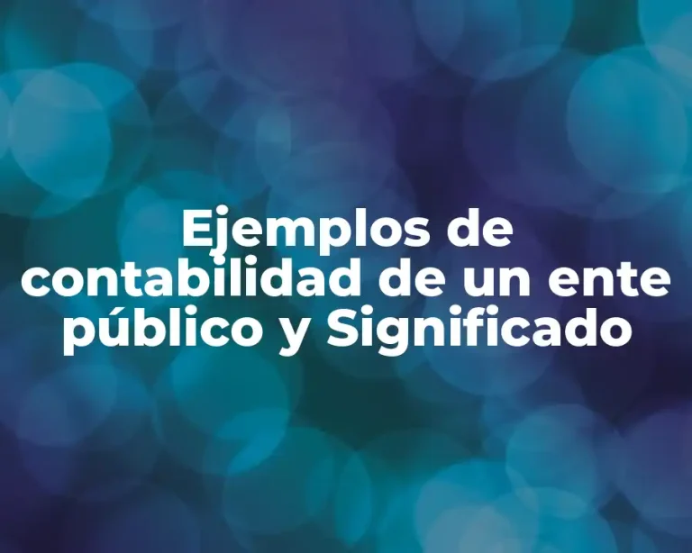 Ejemplos de contabilidad de un ente público y Significado
