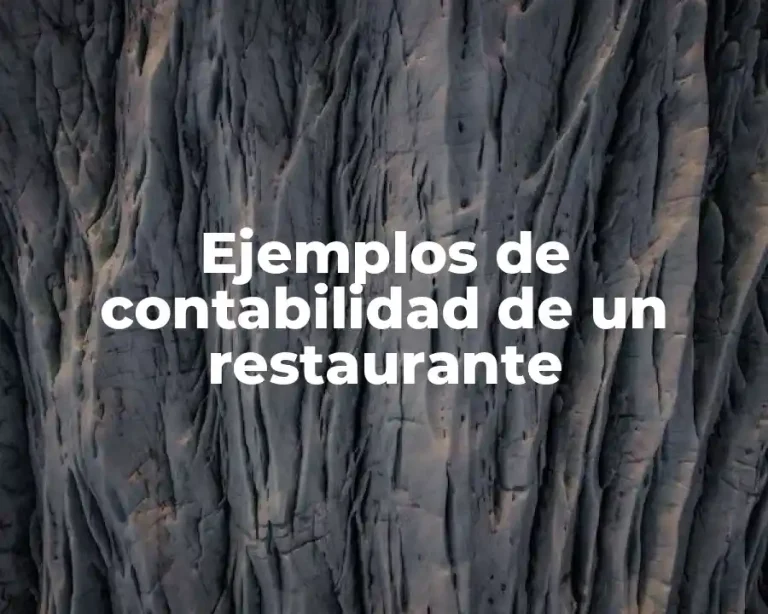 Ejemplos de contabilidad de un restaurante