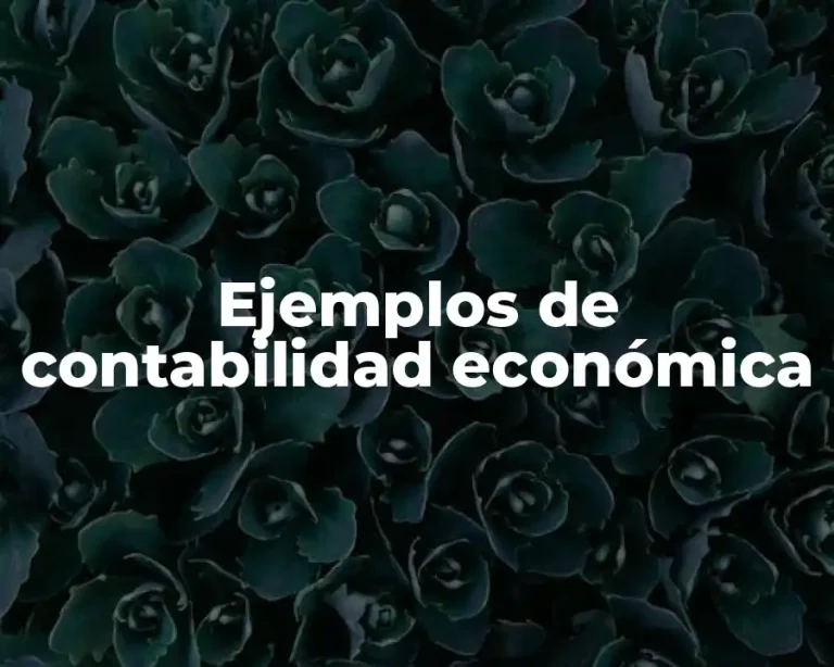 Ejemplos de contabilidad económica