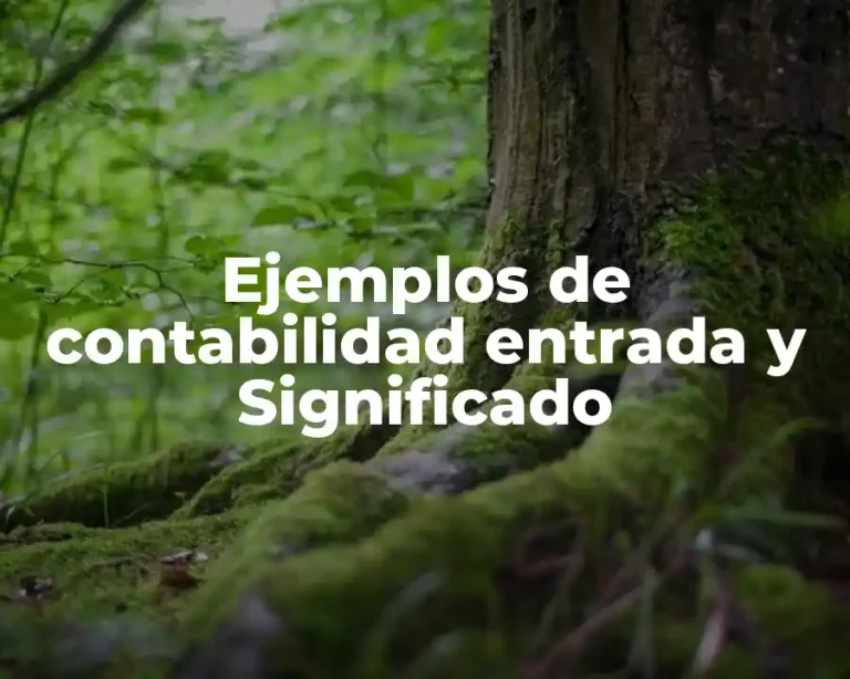 Ejemplos de contabilidad entrada y Significado