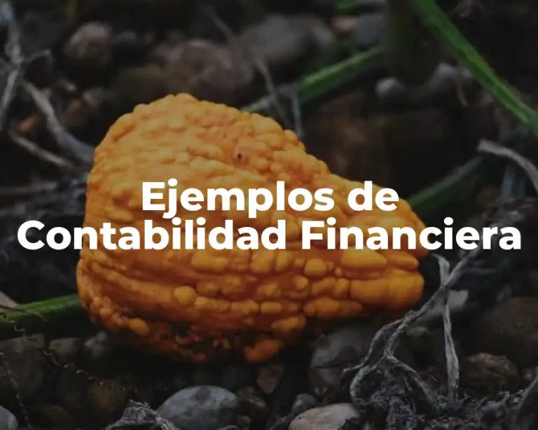 Ejemplos de Contabilidad Financiera