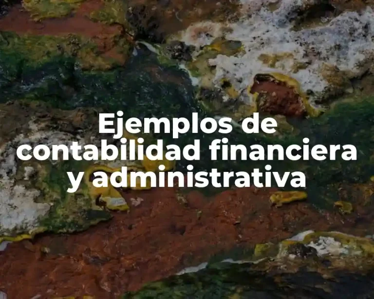 Ejemplos de contabilidad financiera y administrativa